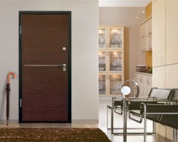 Steel Entrance Doors