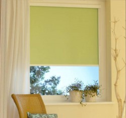 choose roller blinds