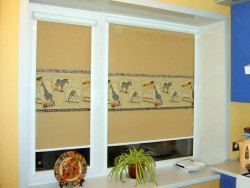 choose roller blinds