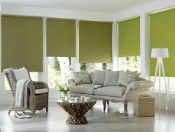 choose roller blinds