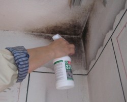 mold control 3