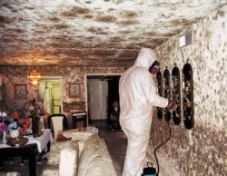 mold control 4