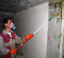 mold control 6