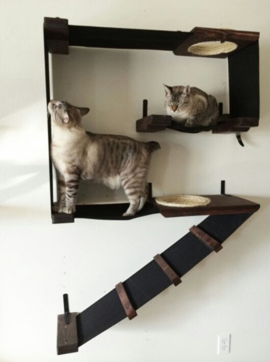 shelves for animals