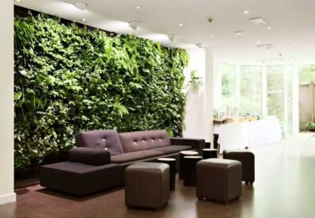 Living wall