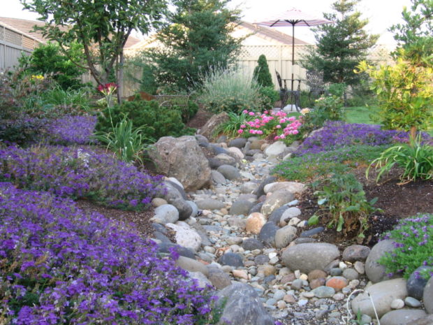 How to make a dry stream with your own hands in the country: 4 tips for creating