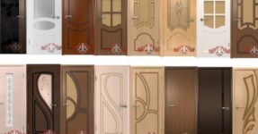 10 veneer door care tips