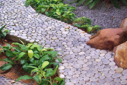 paths in the greenhouse 6